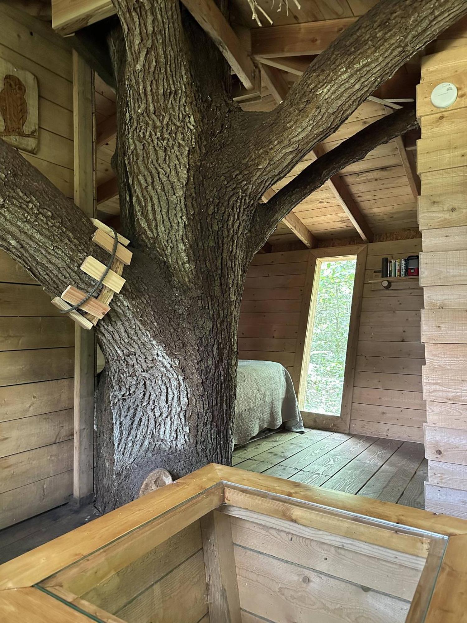 Forcé Les Ecolodges De L'Orbiere מראה חיצוני תמונה